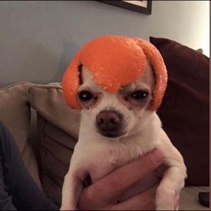 Meet your Posher, Cyndi